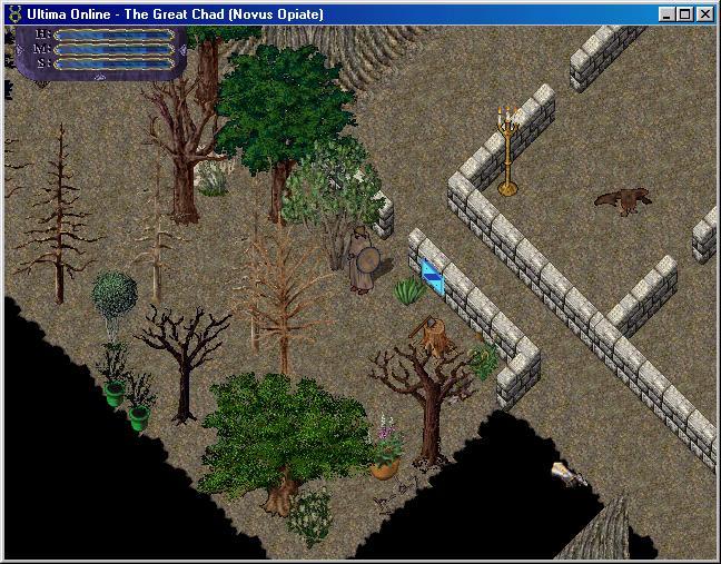 The Great Chad fighting a creature in the Novus Newbie Area in 2001